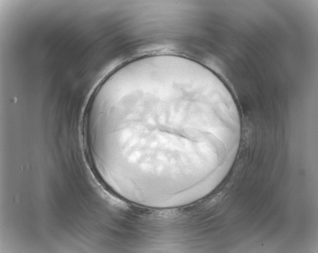 X0000063471090200602171948