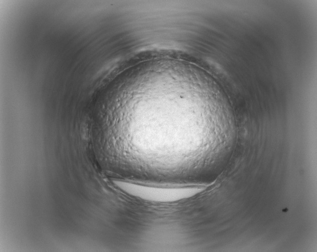 X0000063471110200602171947
