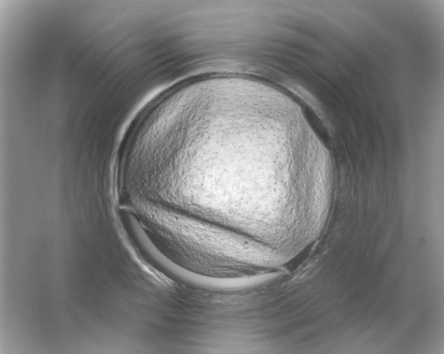X0000063471128200602171948