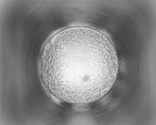 X0000063471150200602171948