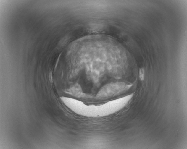 X0000063471155200602171947