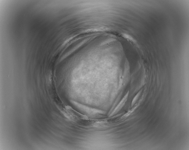 X0000063471161200602171947