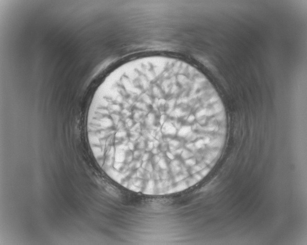 X0000063471163200602171947