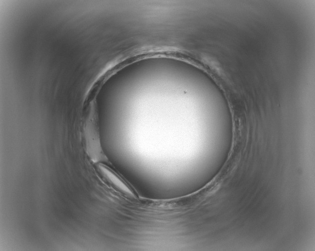 X0000063471165200602171947