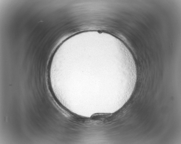 X0000063471187200602171946