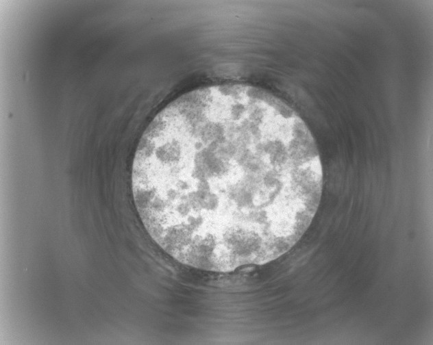X0000063471201200602171945