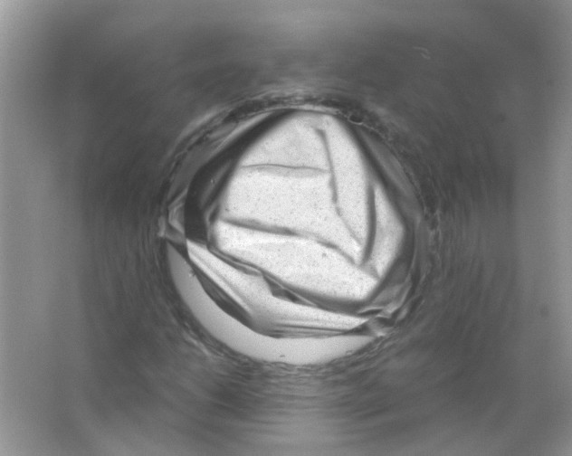 X0000063471206200602171945