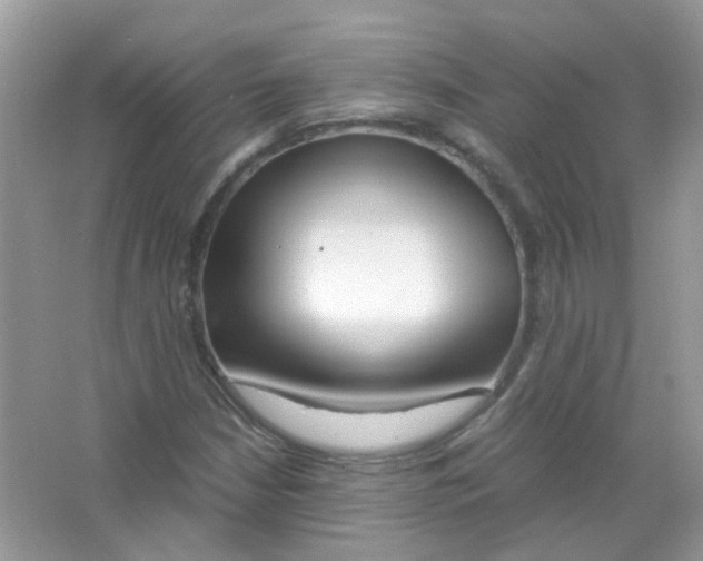 X0000063471210200602171945