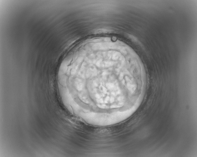 X0000063471217200602171946