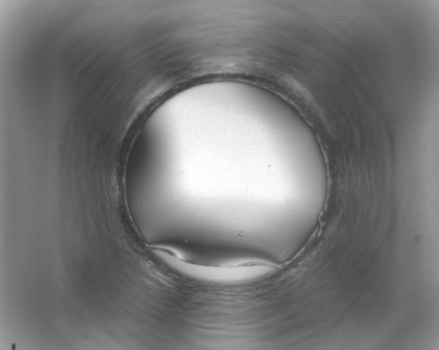 X0000063471218200602171946
