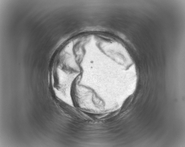 X0000063471221200602171946
