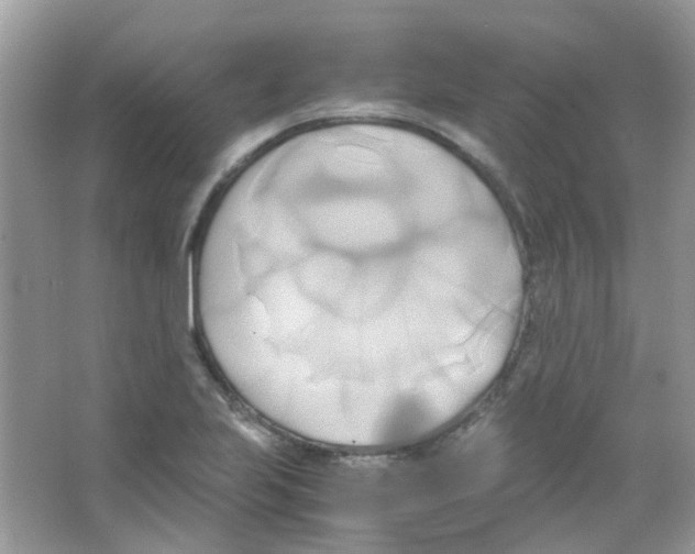 X0000063471223200602171946