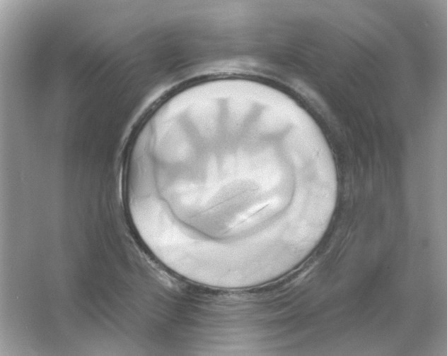 X0000063471224200602171946