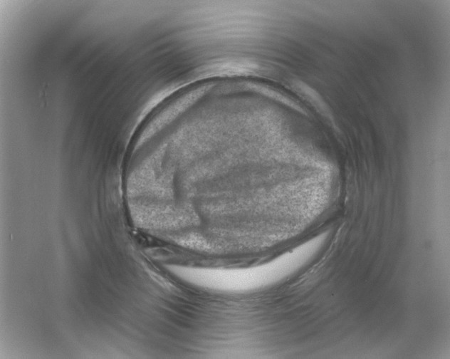 X0000063471226200602171946