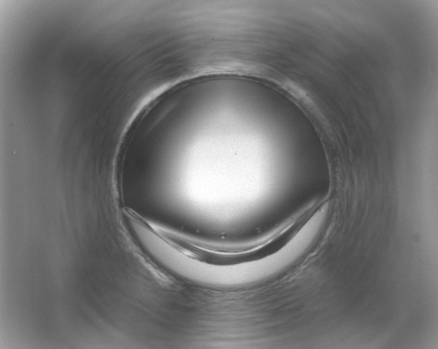 X0000063471230200602171946