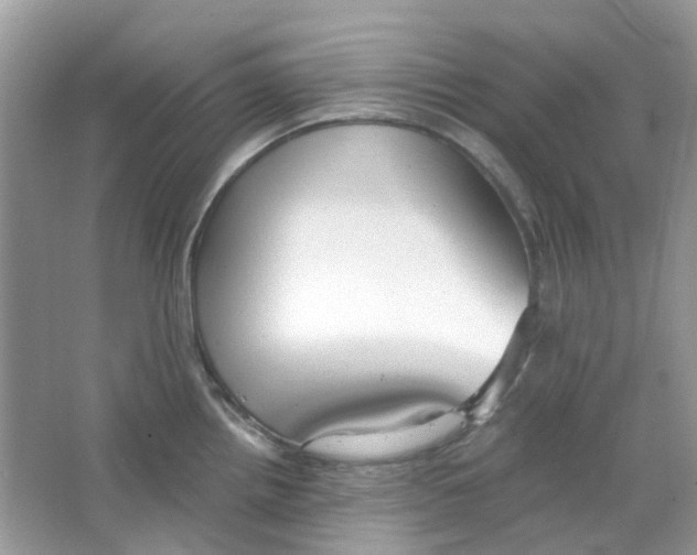 X0000063471242200602171946