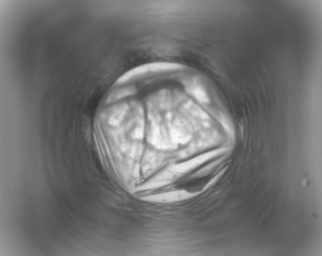X0000063471251200602171945