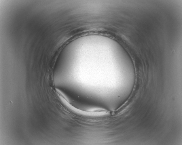 X0000063471257200602171945