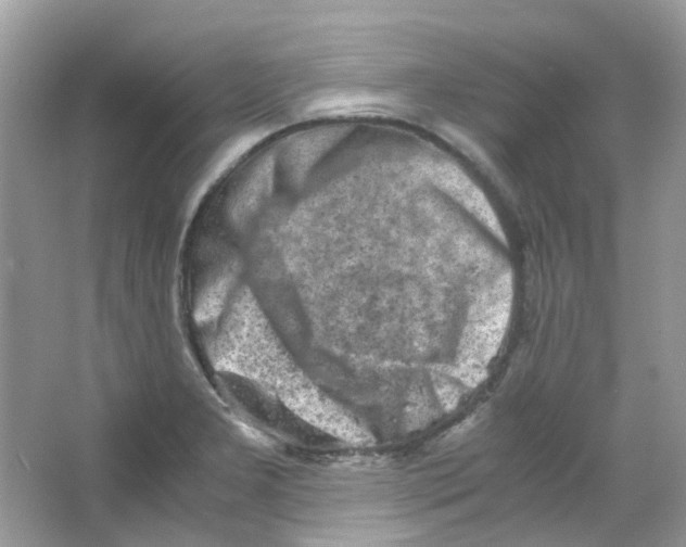 X0000063471277200602171945