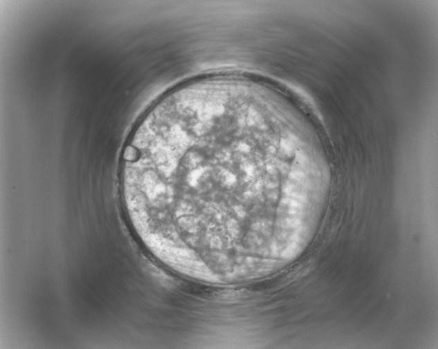 X0000063471279200602171945