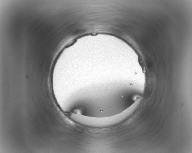 X0000063471293200602171944