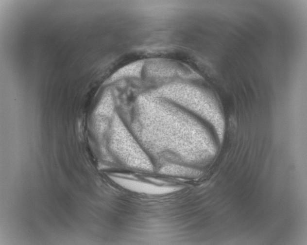 X0000063471300200602171944
