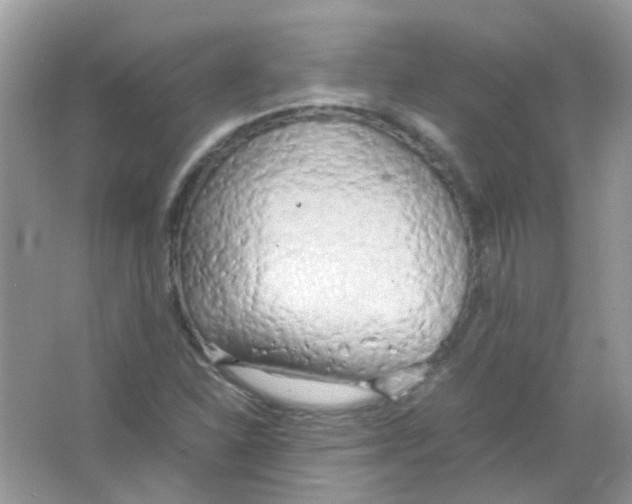 X0000063471310200602171944
