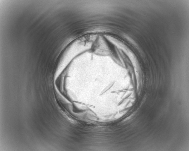 X0000063471329200602171944
