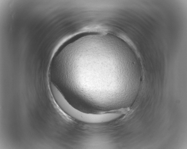X0000063471344200602171944