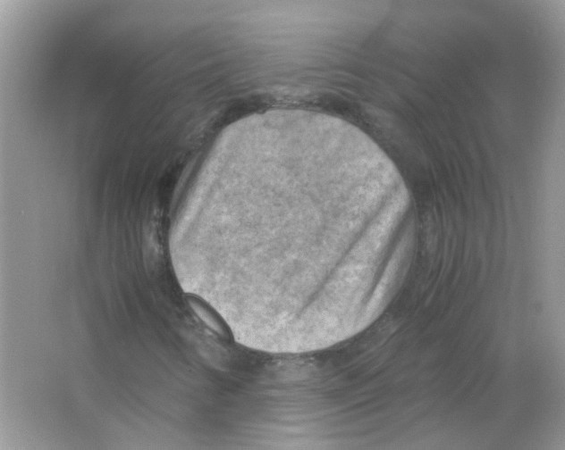X0000063471346200602171943
