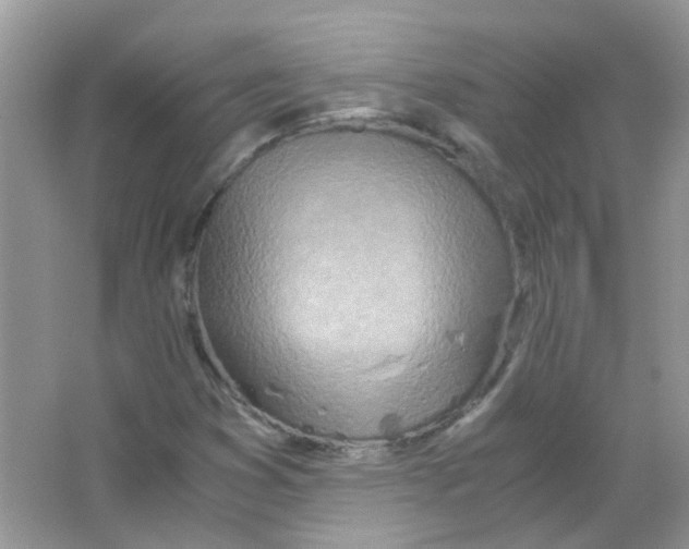 X0000063471353200602171943
