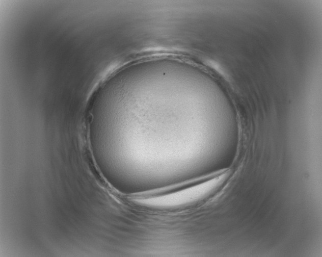 X0000063471357200602171943