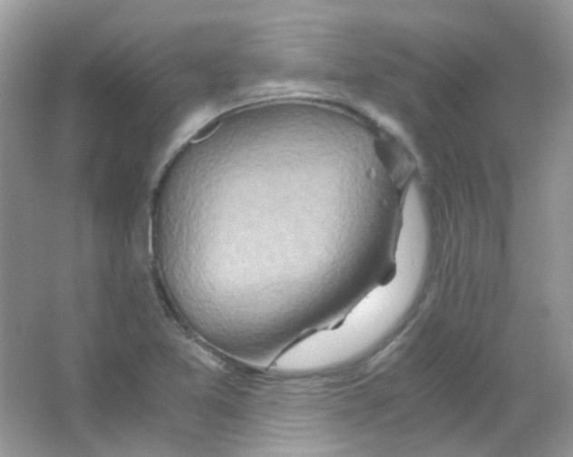 X0000063471365200602171943
