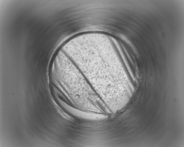 X0000063471372200602171943