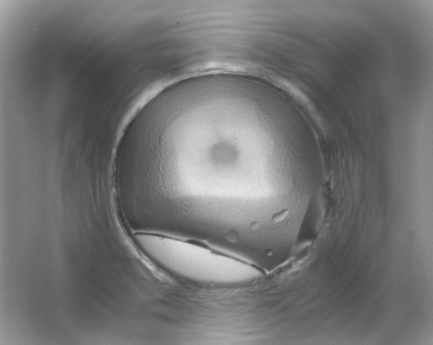 X0000063471373200602171943