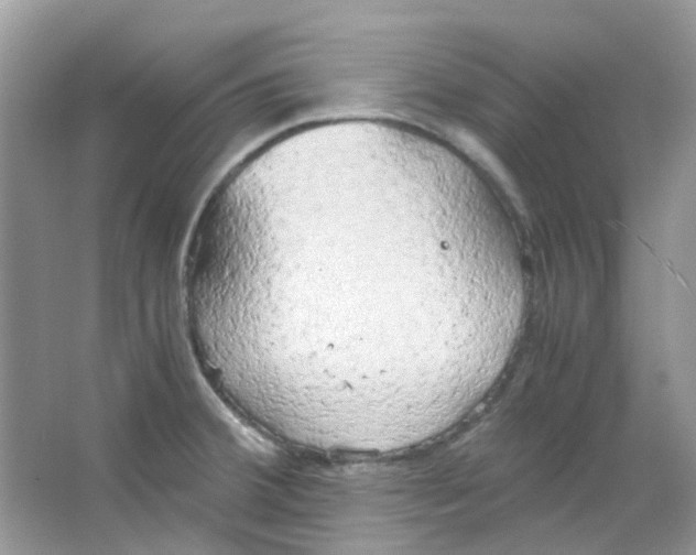 X0000063471380200602171943
