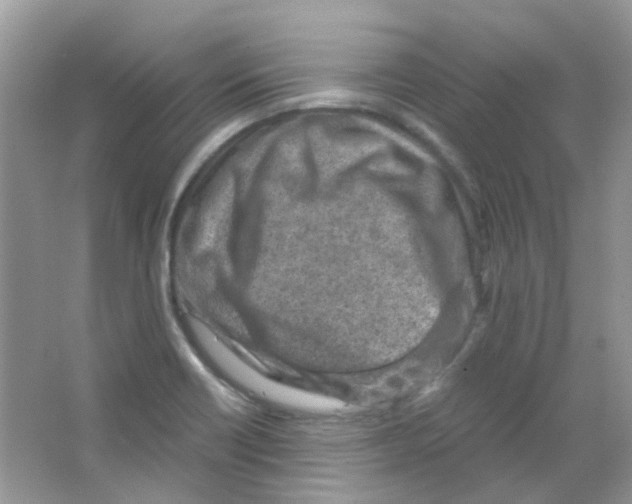 X0000063471418200602171942