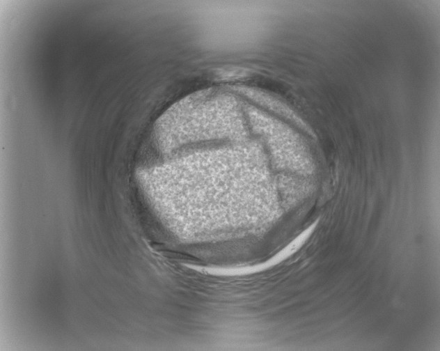 X0000063471441200602171942