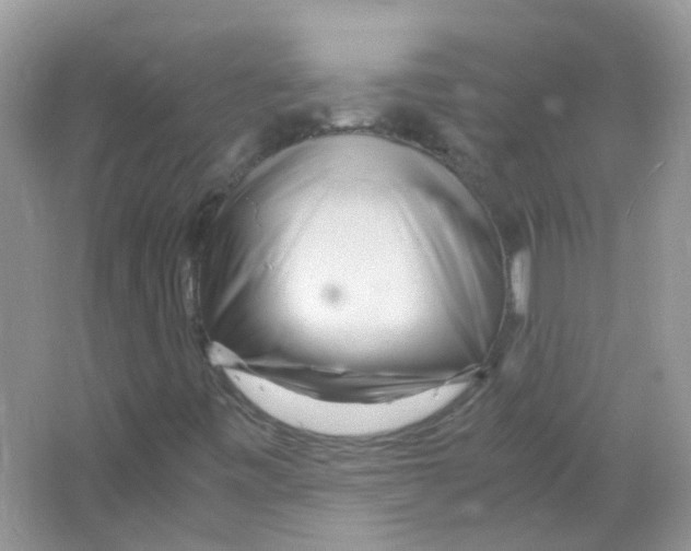 X0000063471443200602171942