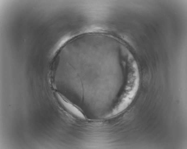 X0000063471455200602171941