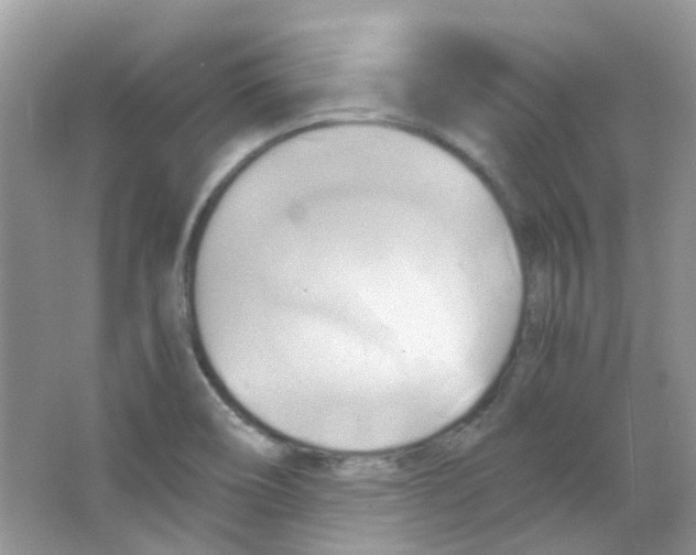 X0000063471466200602171941
