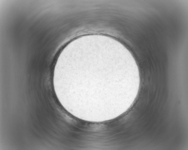 X0000063471498200602171940