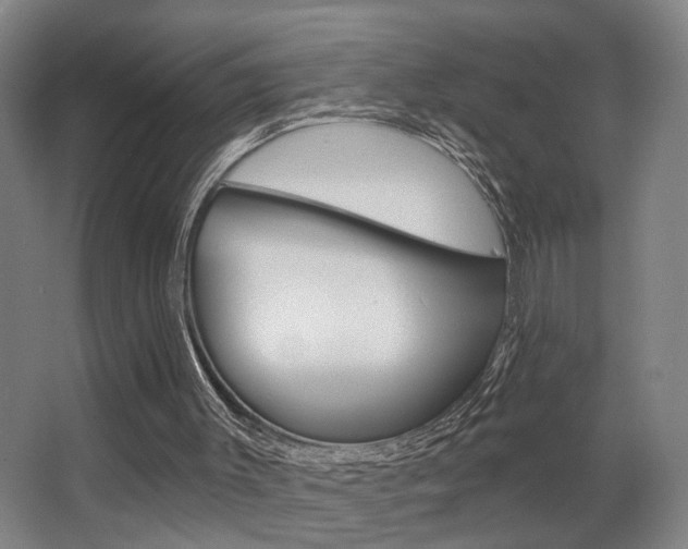 X0000063480003200601201037
