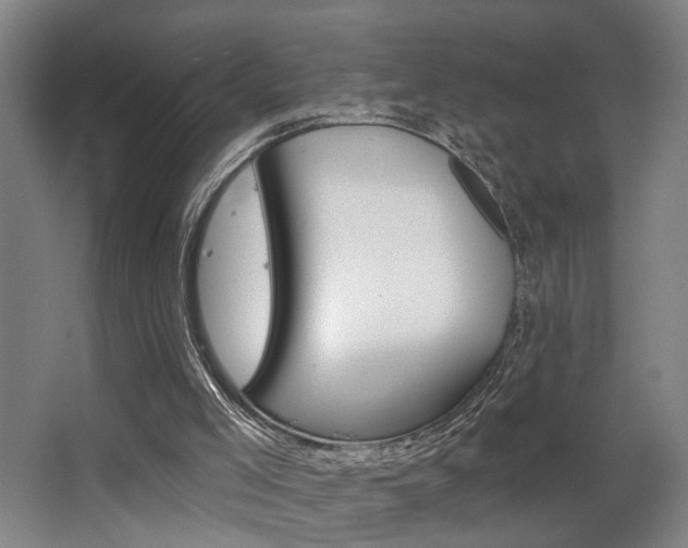 X0000063480005200601201037