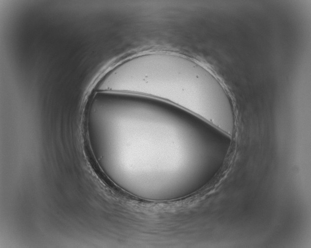 X0000063480007200601201037