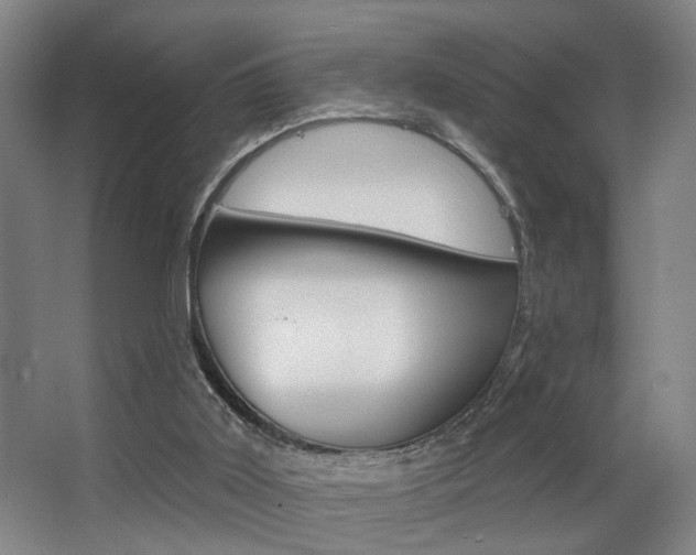 X0000063480011200601201037