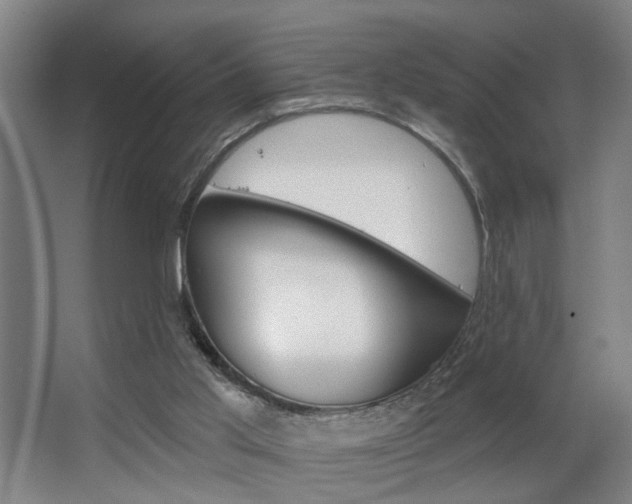 X0000063480013200601201037