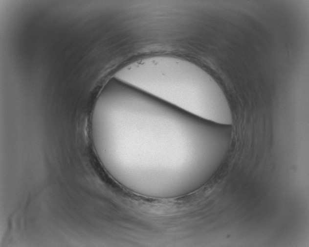 X0000063480024200601201036