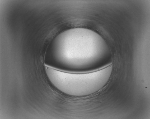 X0000063480025200601201036