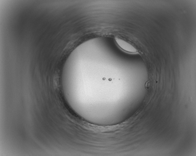 X0000063480035200601201036